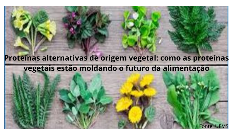 Proteínas alternativas de origem vegetal: como as proteínas vegetais estão moldando o futuro da alimentação